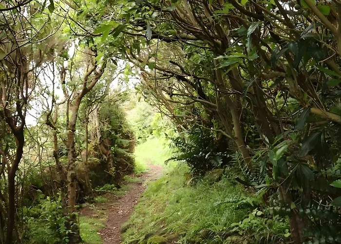 Casa Cales 英雄港